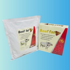 Beef Fat DS